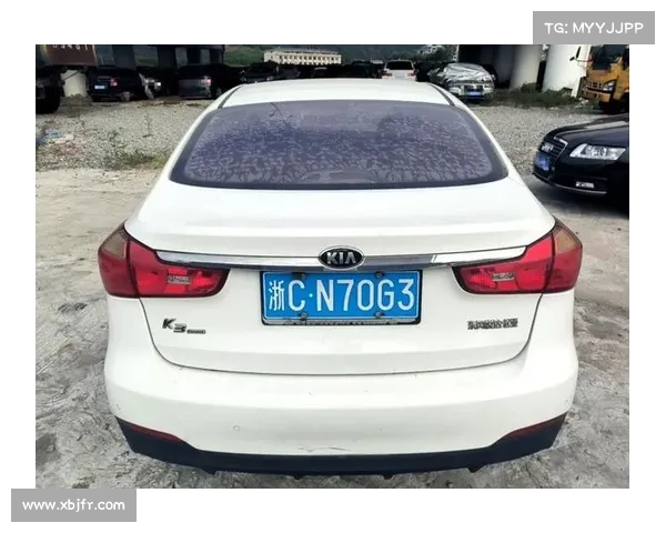 研究人员仅凭车牌号码成功入侵了起亚汽车