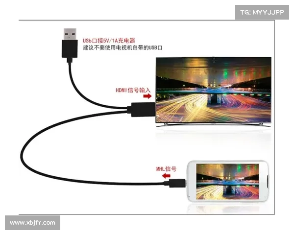 新型 PEAKLIGHT 恶意软件投放器通过盗版电影传播